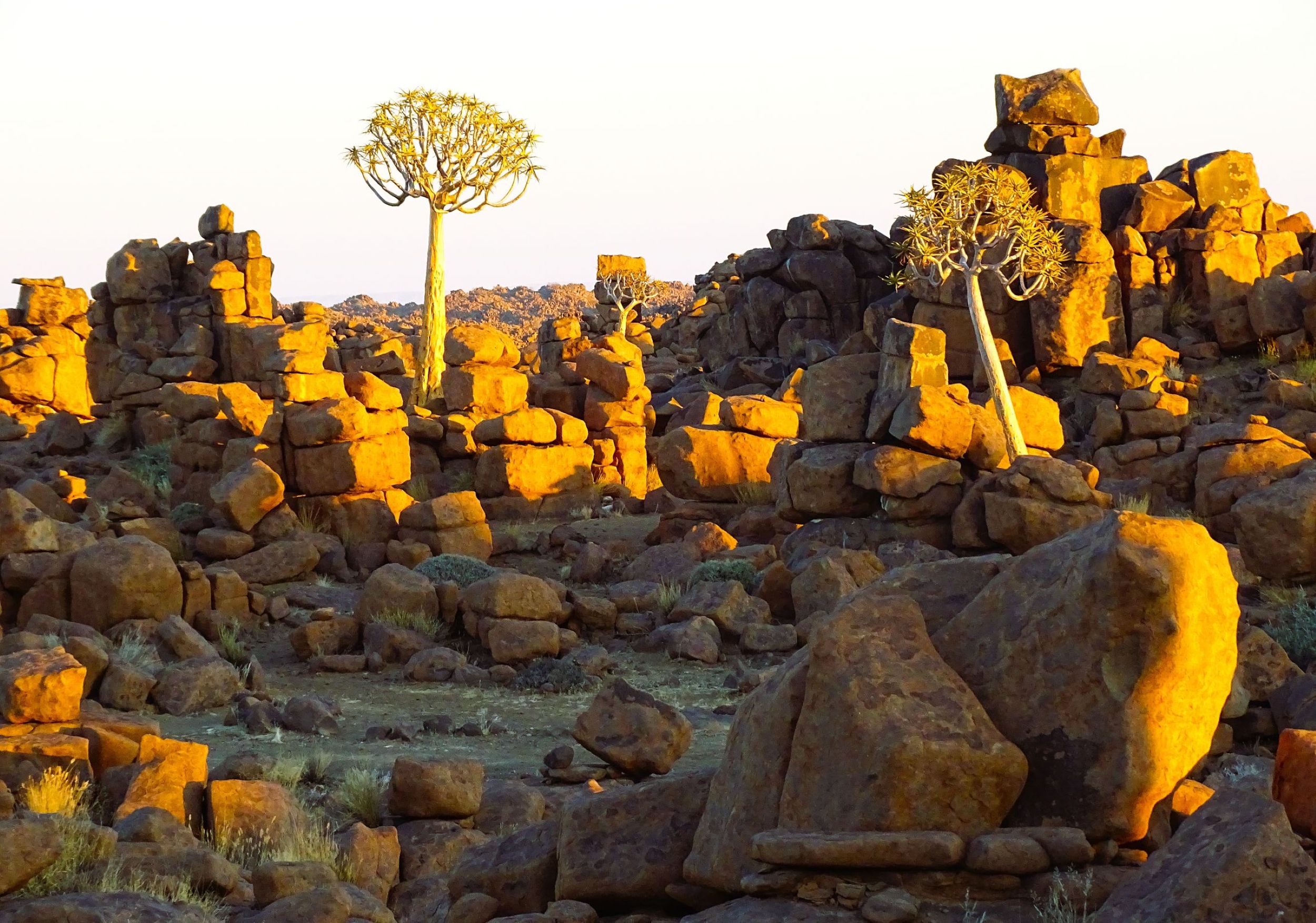 The Devil's Playground, Keetmanshoop, Namibia