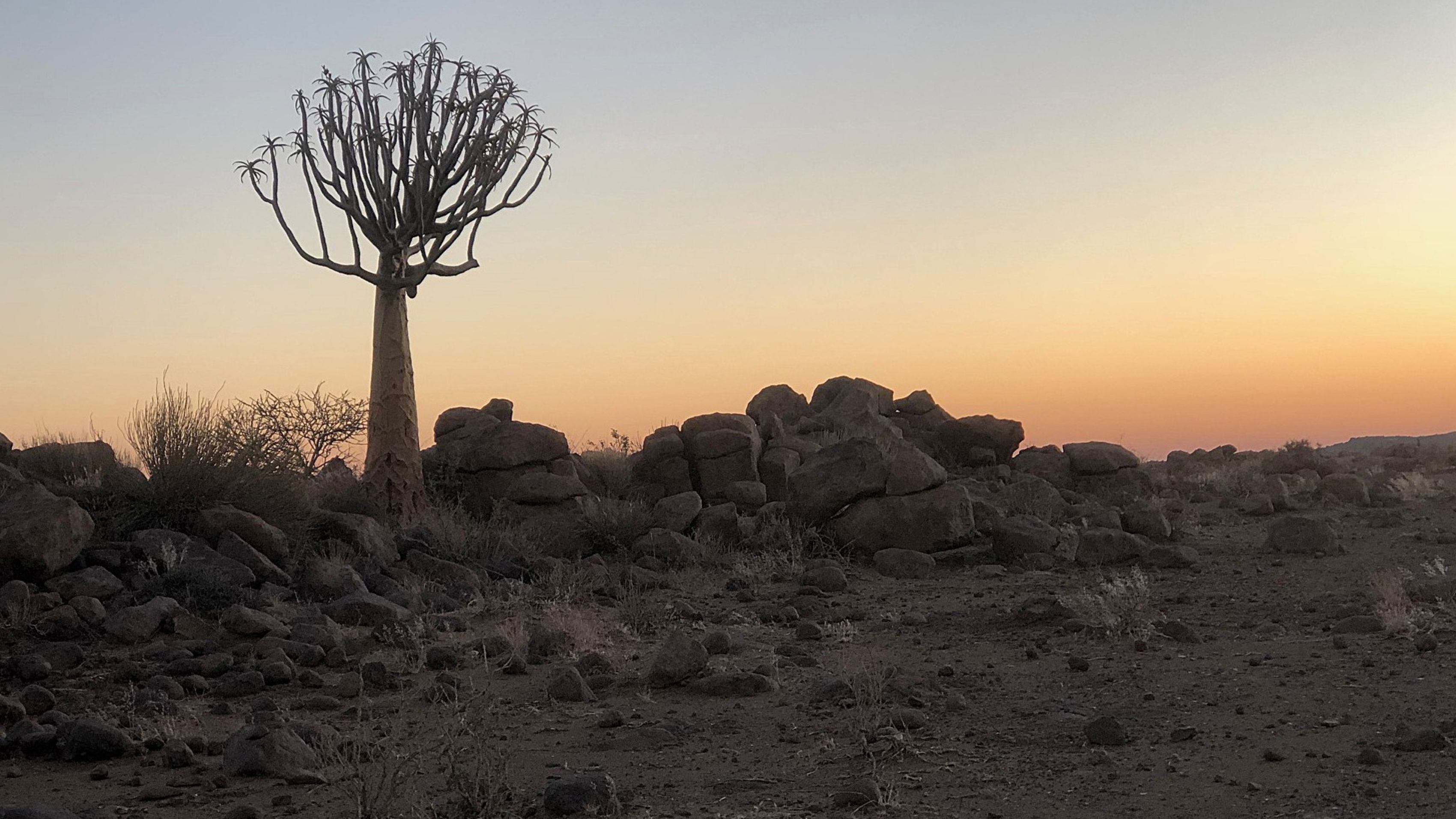 The Devil's Playground, Keetmanshoop, Namibia