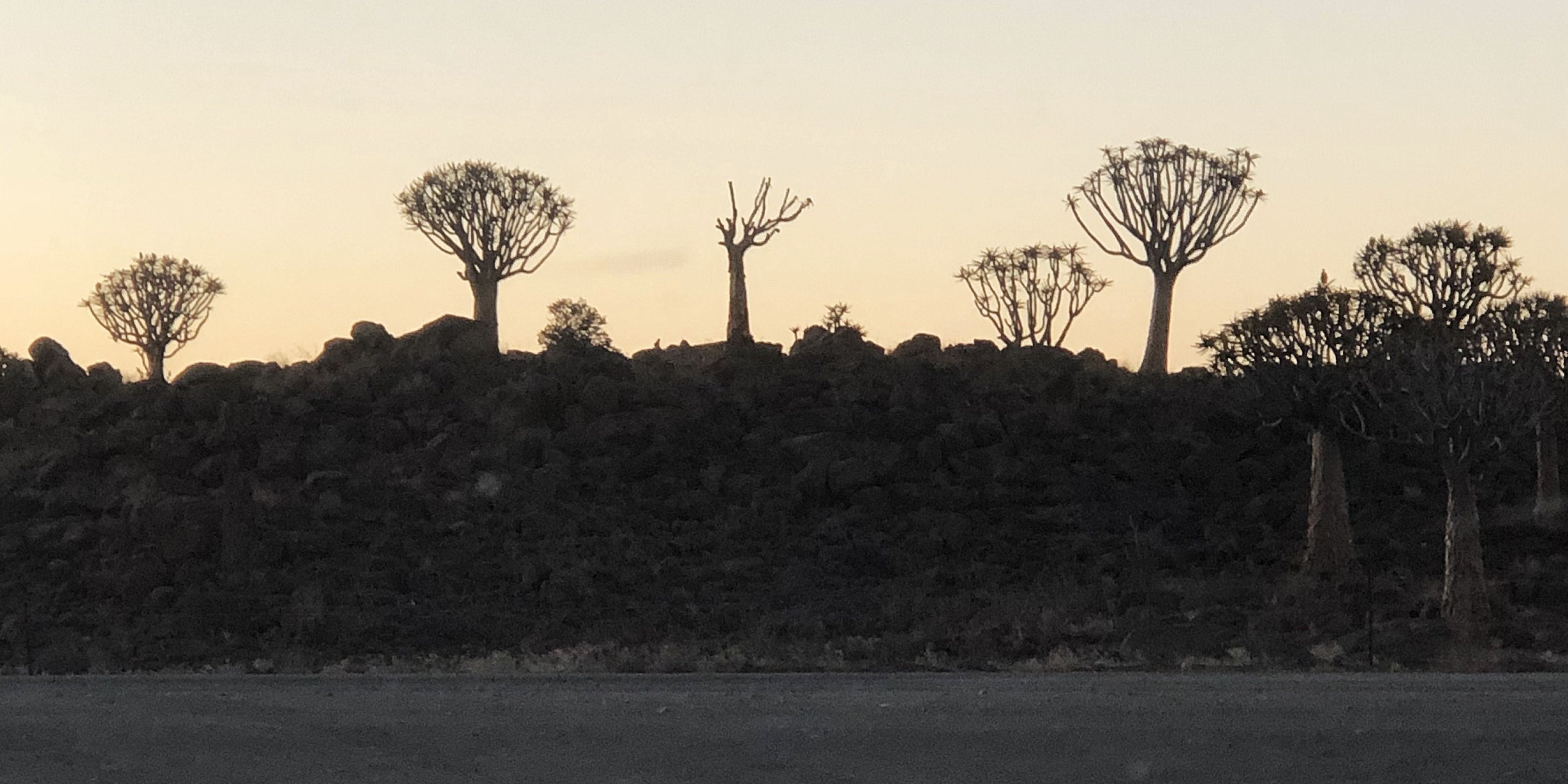 The Devil's Playground, Keetmanshoop, Namibia