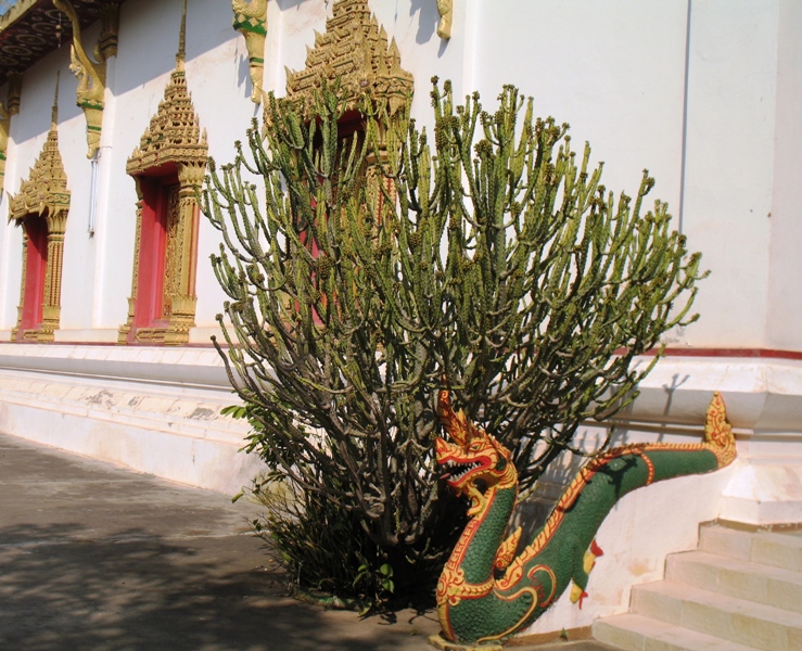  Vientiane Temple, Laos