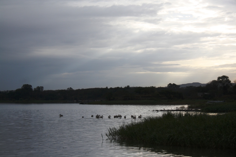 Lake Tana, Bahir Dar, Ethiopia